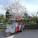 Umbria in Ape Rental Noleggio Vespe Noleggio Scooter Noleggio Ape Calessino (89)