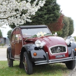 2Cavalli noleggio auto d'epoca